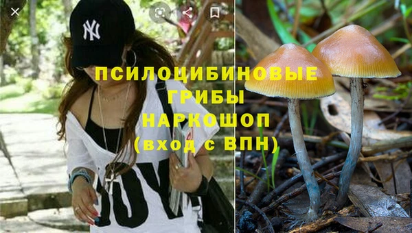 PSILOCYBIN Вяземский