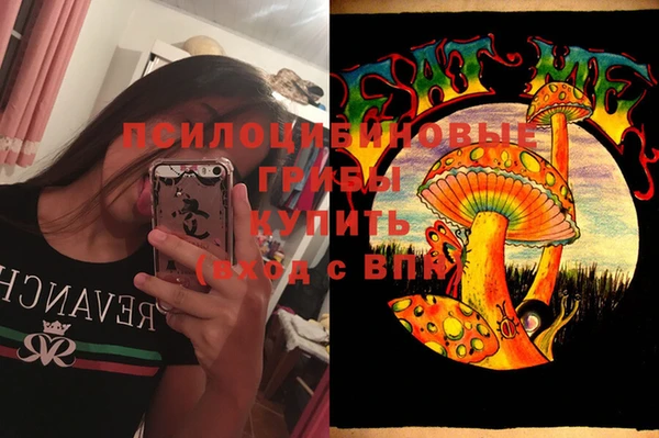 PSILOCYBIN Вяземский