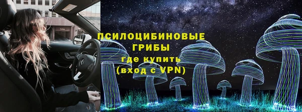 ГАЛЛЮЦИНОГЕННЫЕ ГРИБЫ Волоколамск