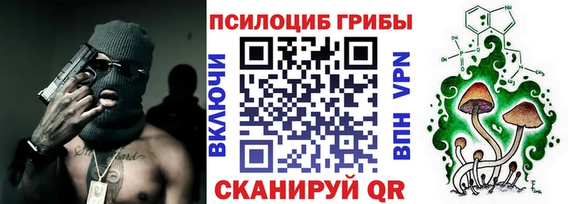 Галлюциногенные грибы MAGIC MUSHROOMS  дарнет шоп  Волжск 